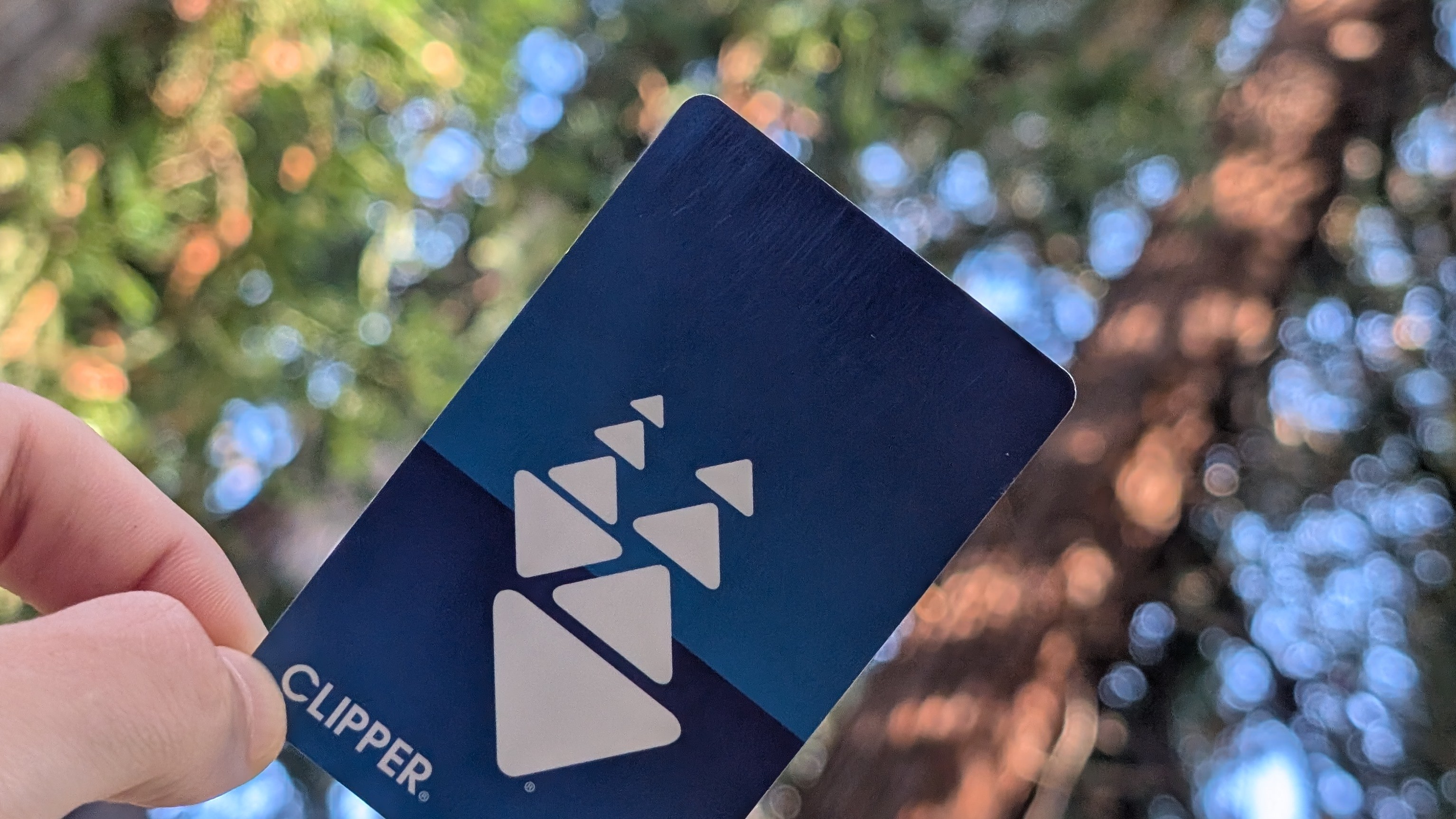 A Clipper card in a redwood forest