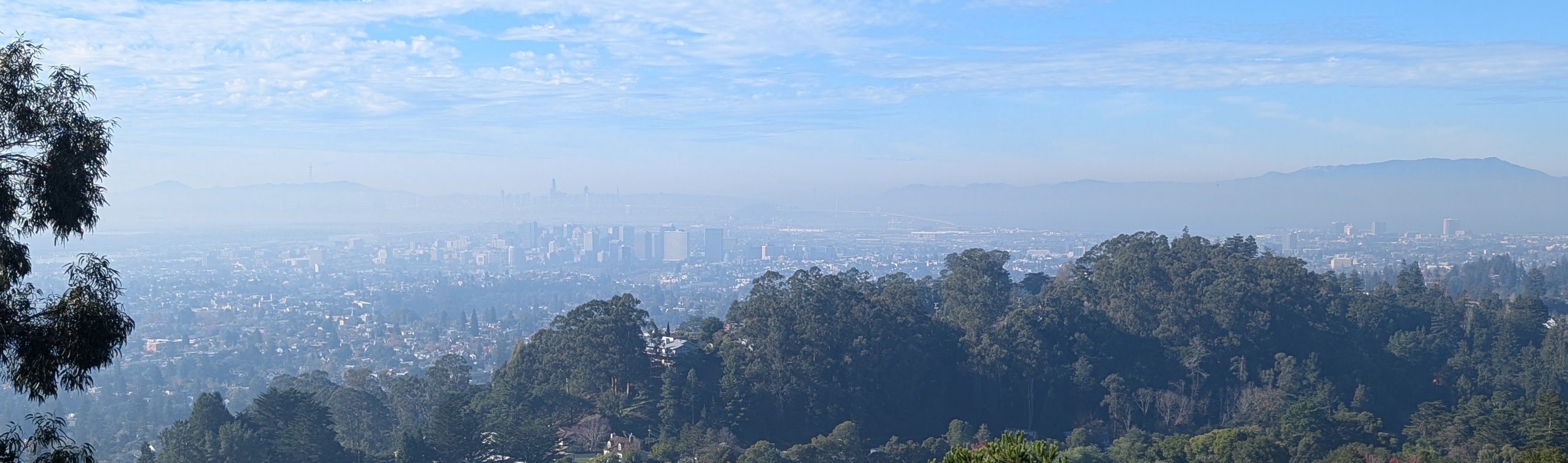 A view of the Oakland skyline and Bay from a high-up vantage
